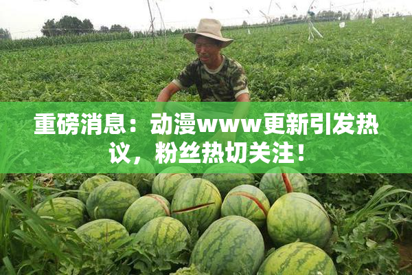 重磅消息：动漫www更新引发热议，粉丝热切关注！