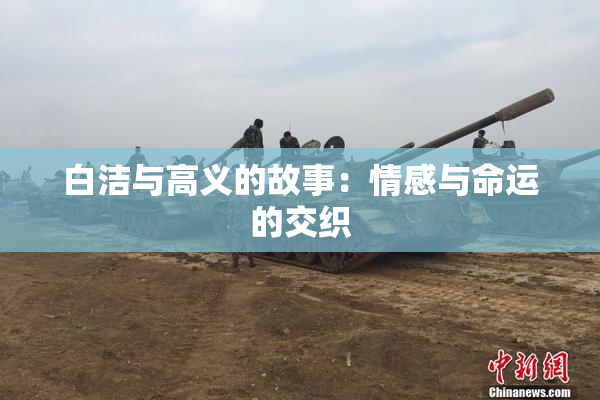 白洁与高义的故事：情感与命运的交织