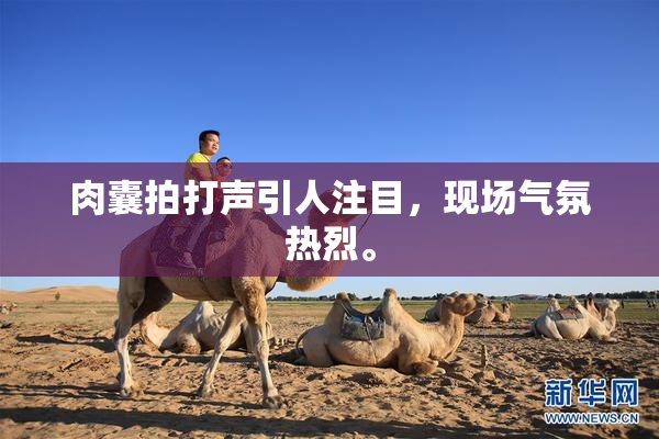 肉囊拍打声引人注目，现场气氛热烈。