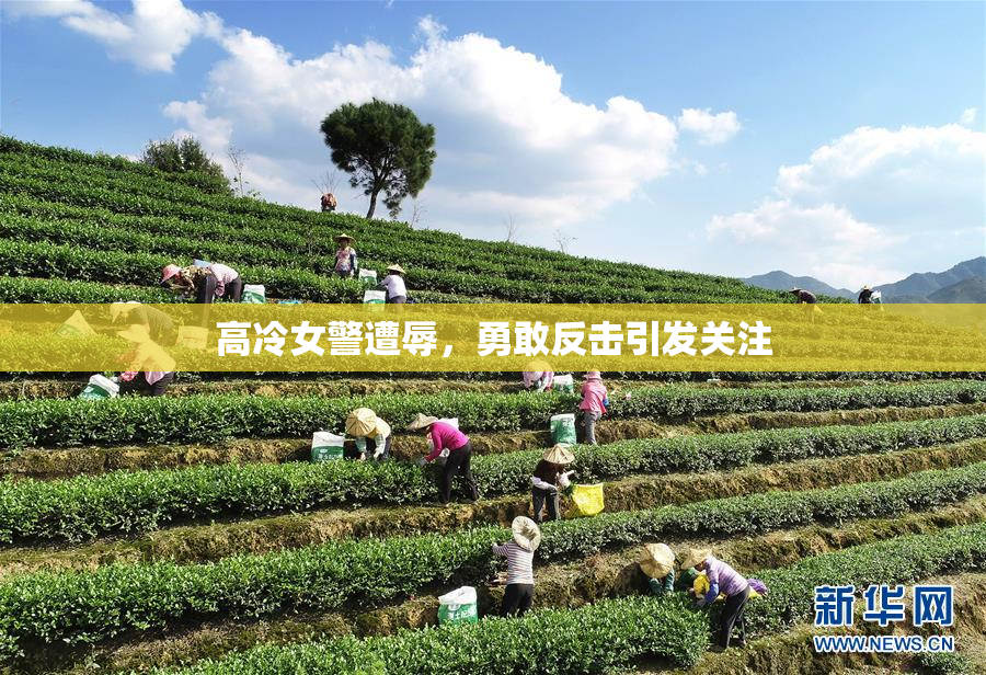 高冷女警遭辱，勇敢反击引发关注