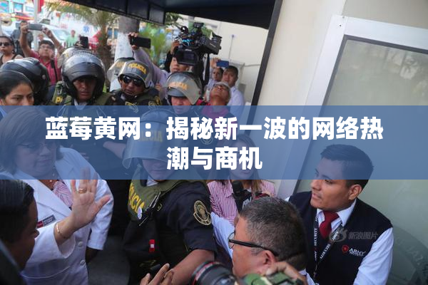 蓝莓黄网：揭秘新一波的网络热潮与商机