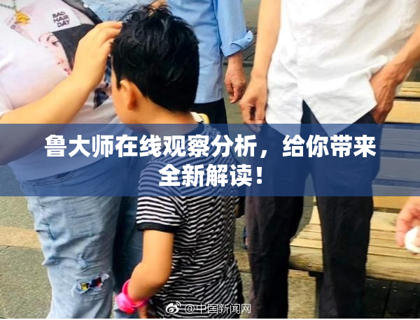 鲁大师在线观察分析，给你带来全新解读！