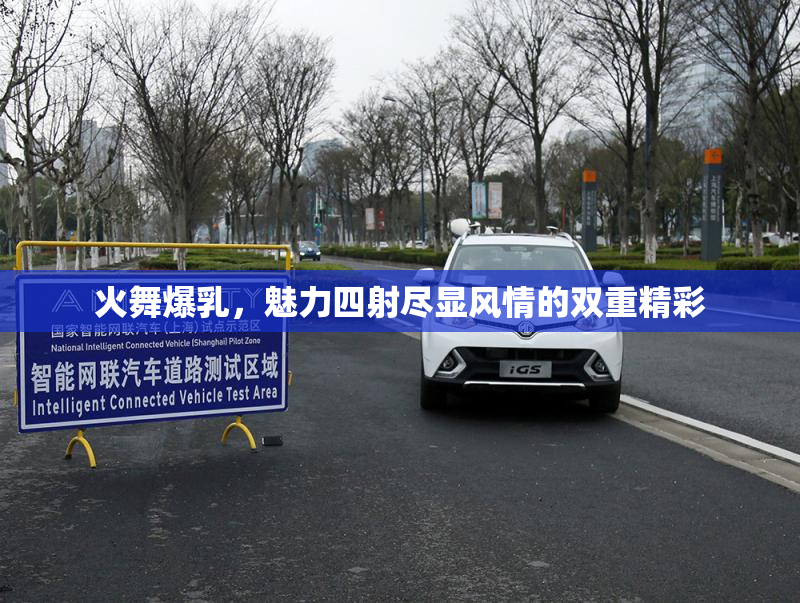 火舞爆乳，魅力四射尽显风情的双重精彩