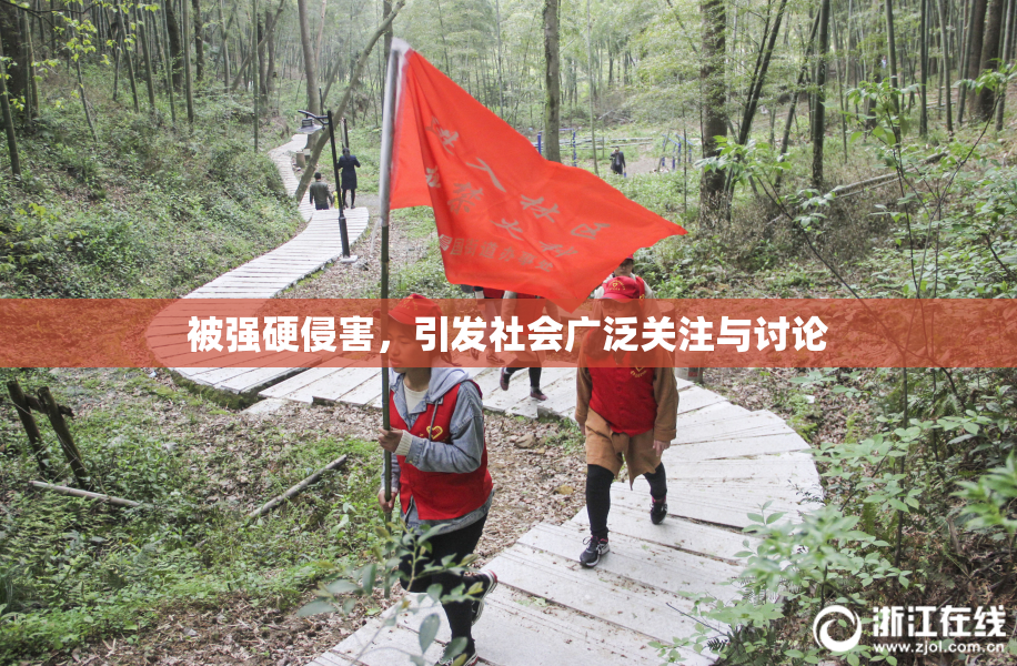 被强硬侵害，引发社会广泛关注与讨论