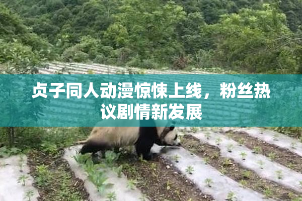 贞子同人动漫惊悚上线，粉丝热议剧情新发展