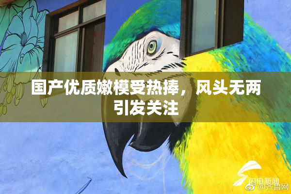 国产优质嫩模受热捧，风头无两引发关注