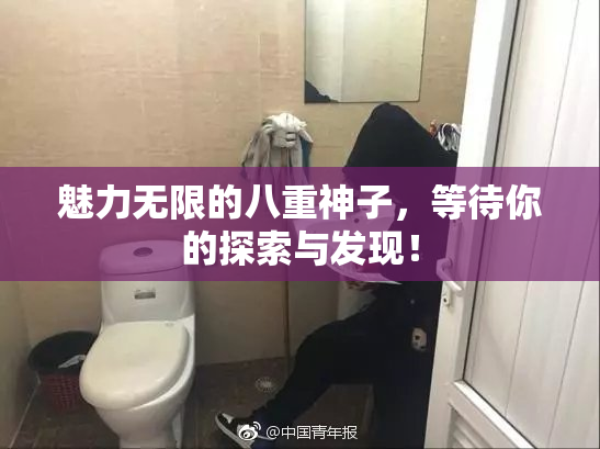 魅力无限的八重神子，等待你的探索与发现！