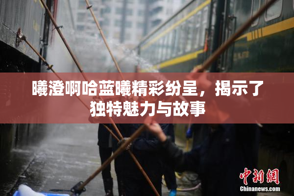 曦澄啊哈蓝曦精彩纷呈，揭示了独特魅力与故事