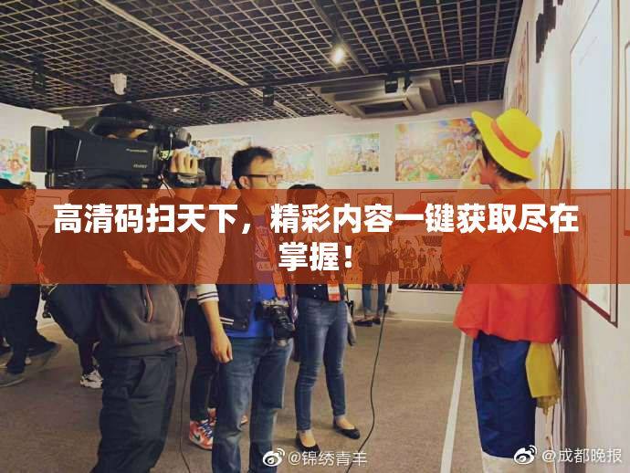 高清码扫天下，精彩内容一键获取尽在掌握！