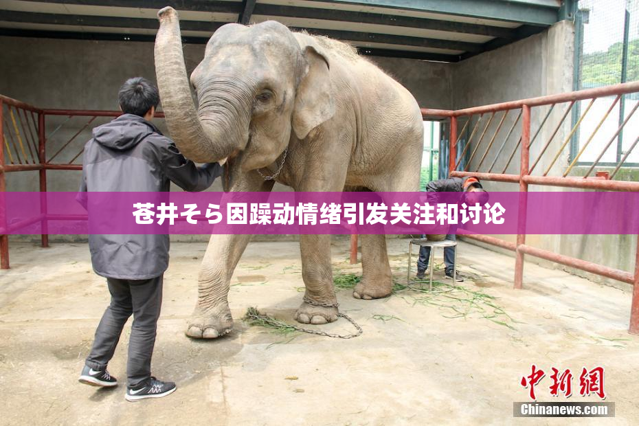 苍井そら因躁动情绪引发关注和讨论