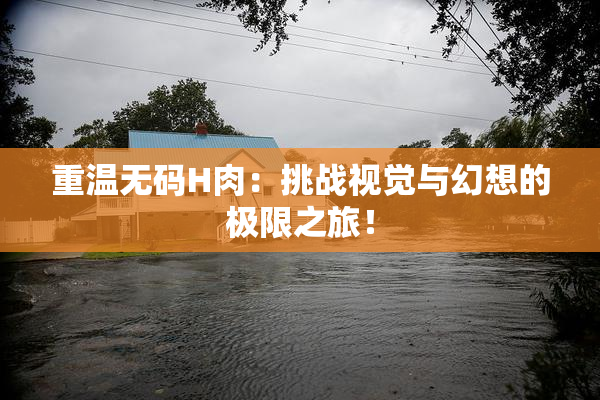 重温无码H肉：挑战视觉与幻想的极限之旅！