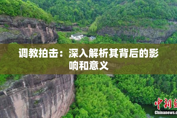 调教拍击：深入解析其背后的影响和意义