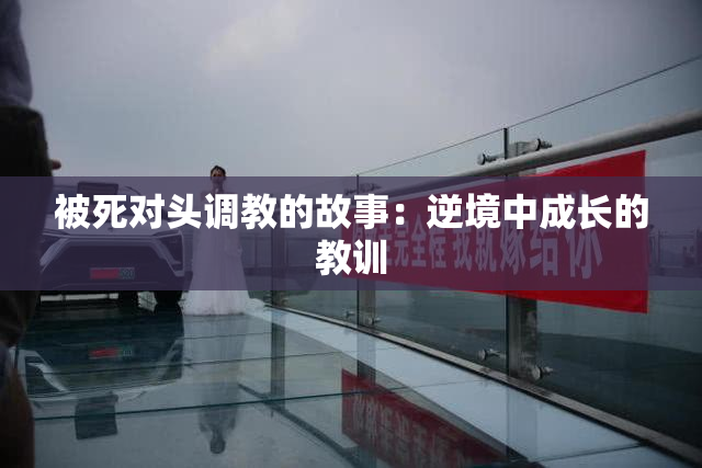 被死对头调教的故事：逆境中成长的教训