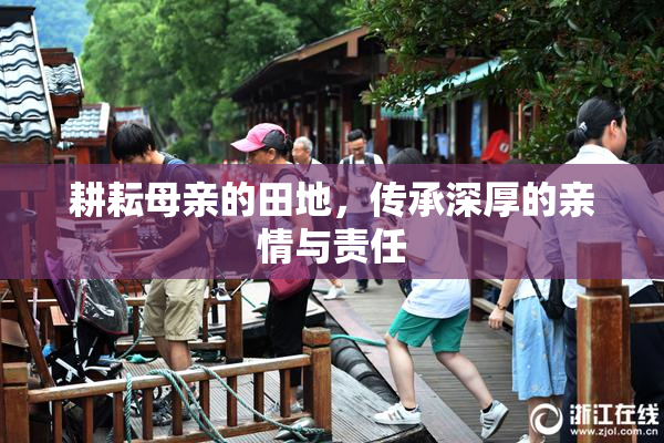 耕耘母亲的田地，传承深厚的亲情与责任