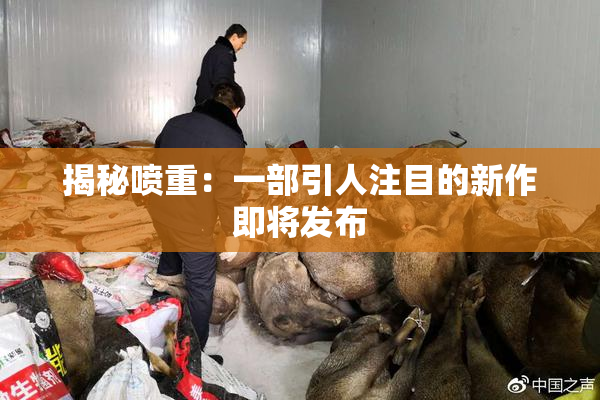 揭秘喷重：一部引人注目的新作即将发布