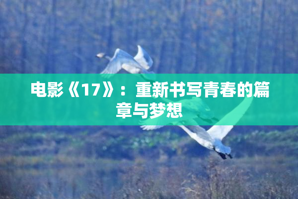 电影《17》：重新书写青春的篇章与梦想