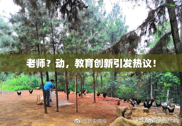 老师？动，教育创新引发热议！