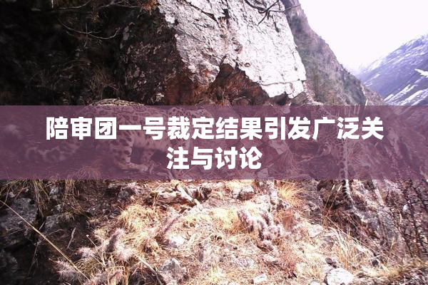 陪审团一号裁定结果引发广泛关注与讨论