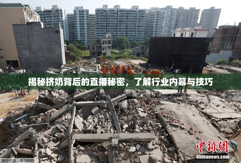 揭秘挤奶背后的直播秘密，了解行业内幕与技巧