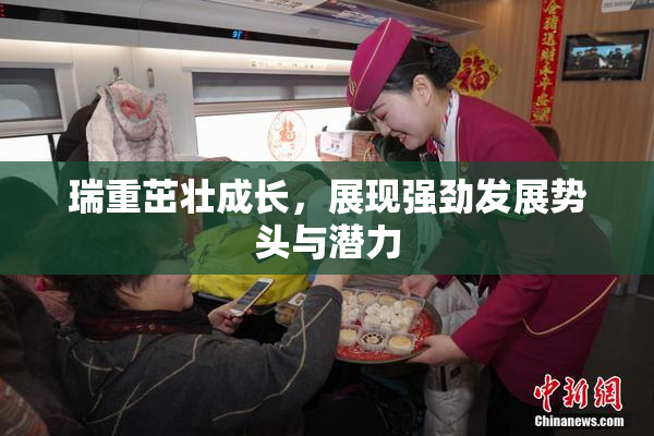 瑞重茁壮成长，展现强劲发展势头与潜力