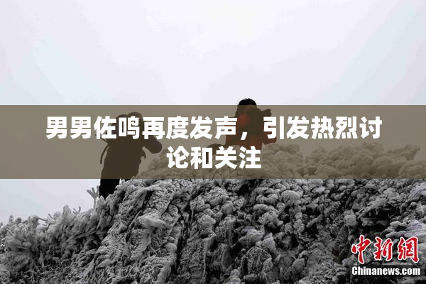 男男佐鸣再度发声，引发热烈讨论和关注
