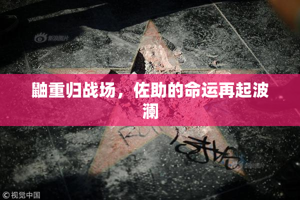 鼬重归战场，佐助的命运再起波澜