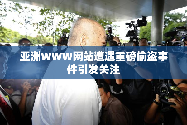 亚洲WWW网站遭遇重磅偷盗事件引发关注