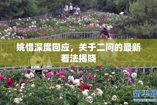 姚惜深度回应，关于二问的最新看法揭晓