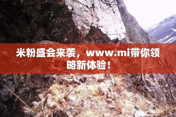 米粉盛会来袭，www.mi带你领略新体验！