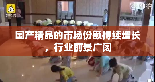 国产精品的市场份额持续增长，行业前景广阔