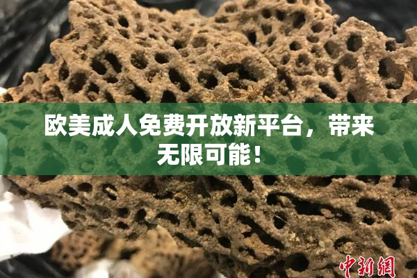 欧美成人免费开放新平台，带来无限可能！