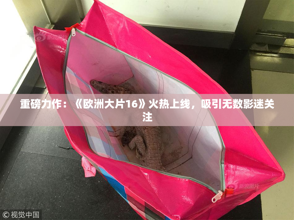 重磅力作：《欧洲大片16》火热上线，吸引无数影迷关注