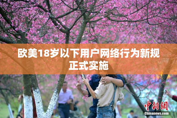 欧美18岁以下用户网络行为新规正式实施