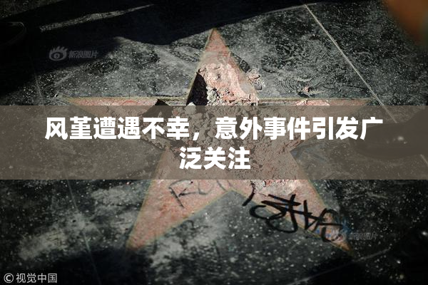 风堇遭遇不幸，意外事件引发广泛关注