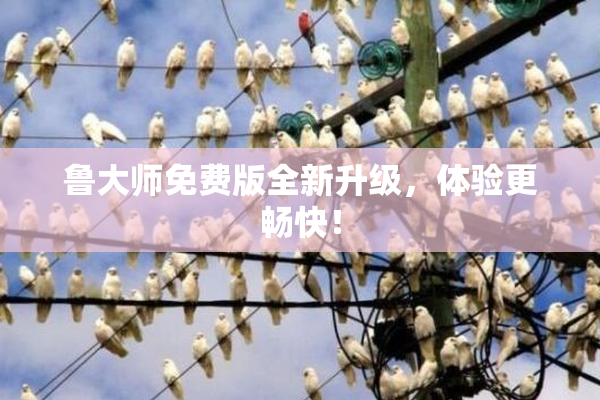 鲁大师免费版全新升级，体验更畅快！