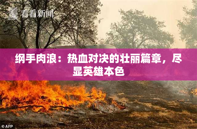 纲手肉浪：热血对决的壮丽篇章，尽显英雄本色