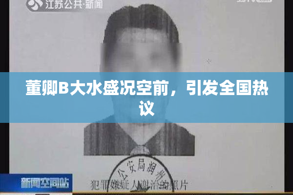 董卿B大水盛况空前，引发全国热议
