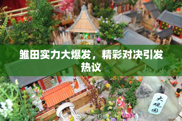 雏田实力大爆发，精彩对决引发热议