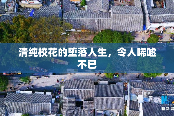 清纯校花的堕落人生，令人唏嘘不已