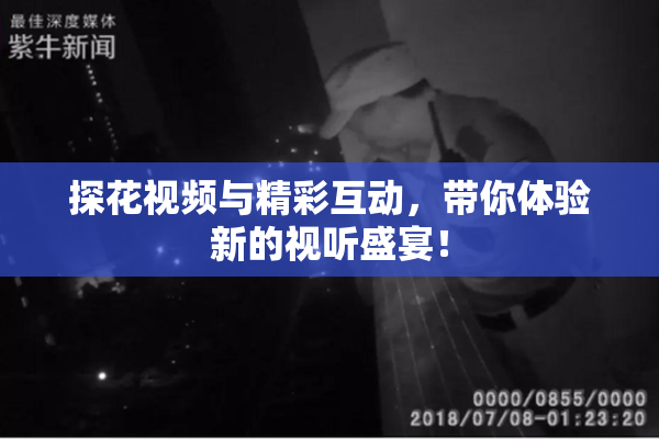 探花视频与精彩互动，带你体验新的视听盛宴！