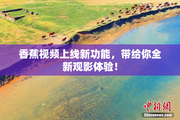 香蕉视频上线新功能，带给你全新观影体验！