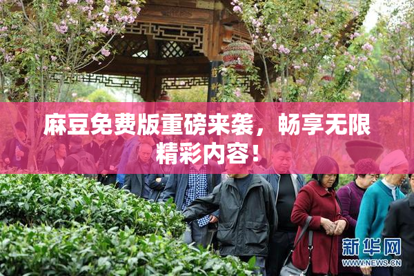麻豆免费版重磅来袭，畅享无限精彩内容！