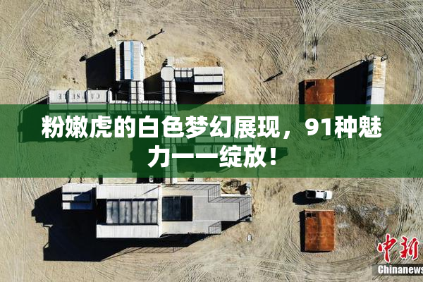 粉嫩虎的白色梦幻展现，91种魅力一一绽放！