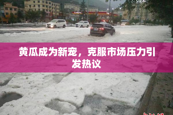 黄瓜成为新宠，克服市场压力引发热议