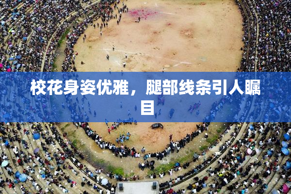 校花身姿优雅，腿部线条引人瞩目