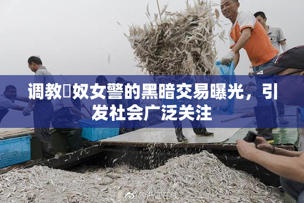 调教婬奴女警的黑暗交易曝光，引发社会广泛关注