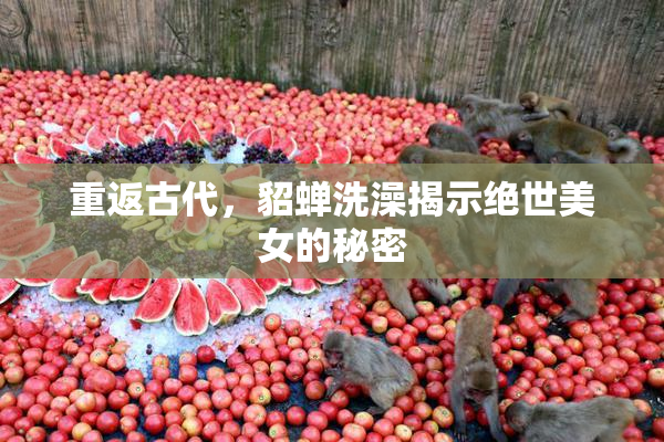 重返古代，貂蝉洗澡揭示绝世美女的秘密