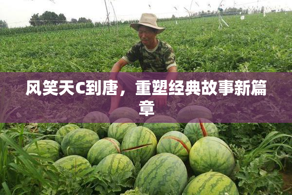 风笑天C到唐，重塑经典故事新篇章