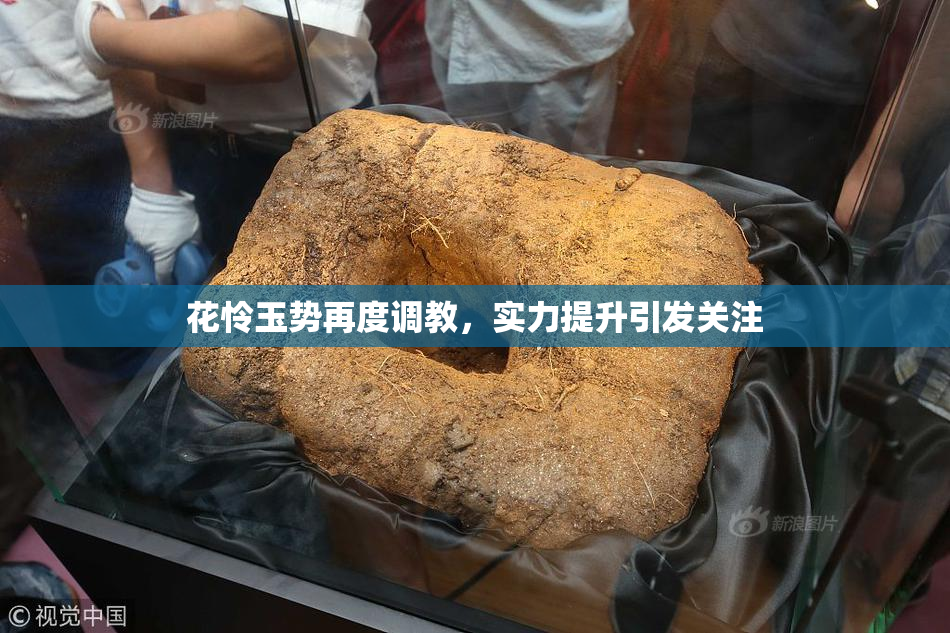 花怜玉势再度调教，实力提升引发关注