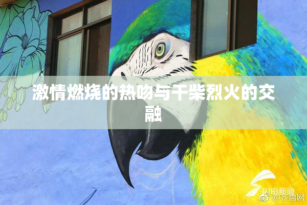 激情燃烧的热吻与干柴烈火的交融